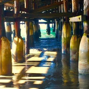 Meet your Posher, Jordyn